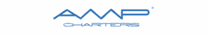 blue logo AMP