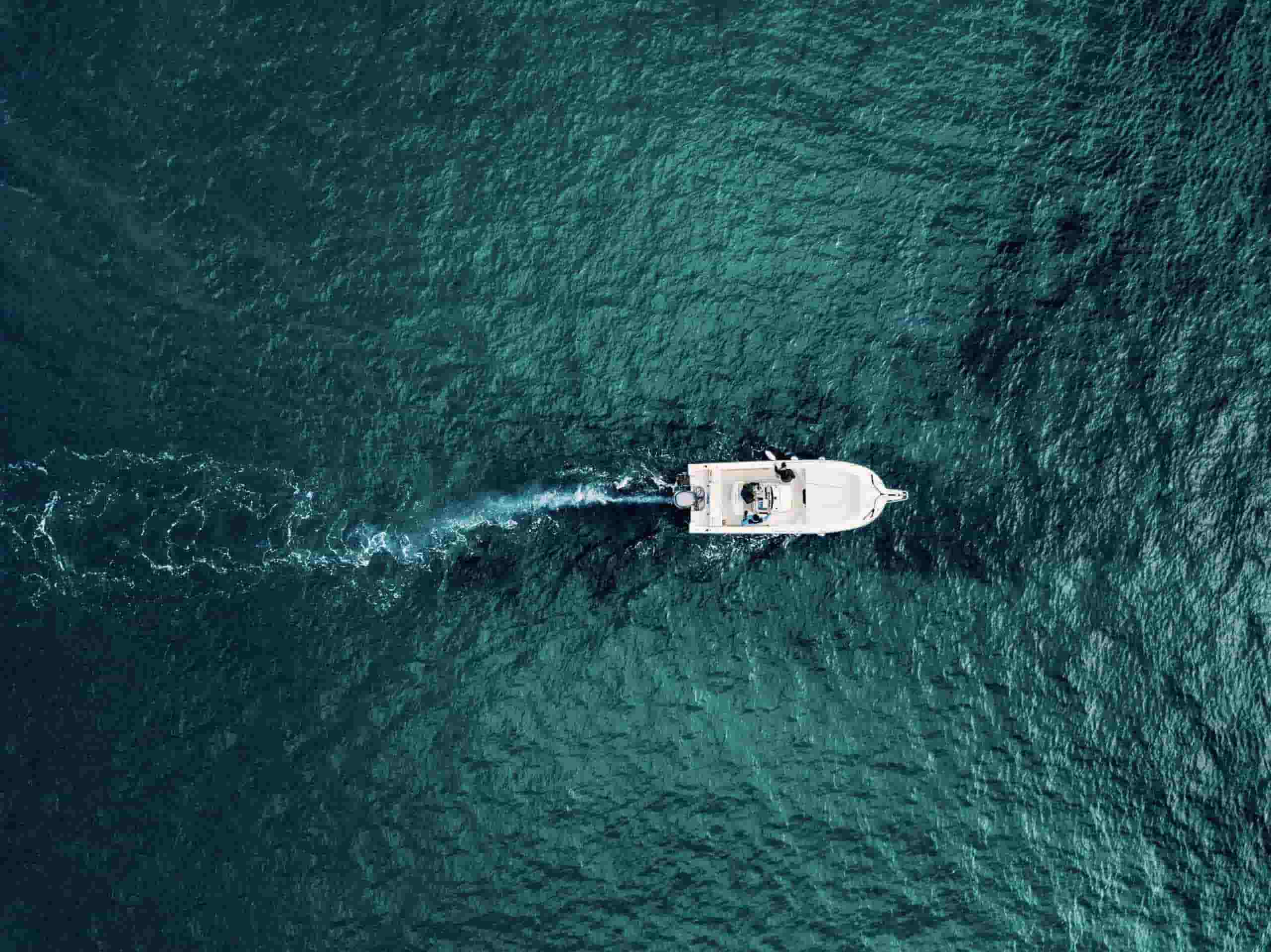 Alquiler de barcos AMP Charter